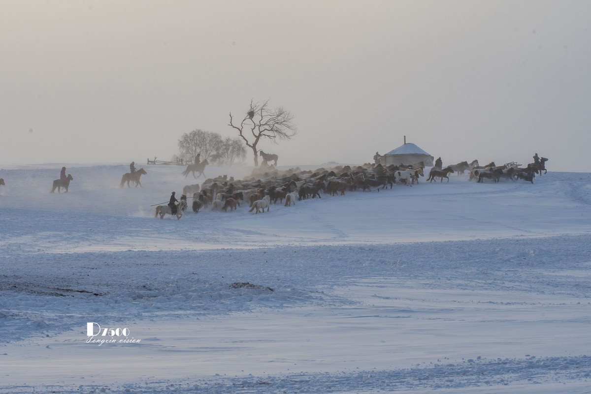 策马奔腾（67）