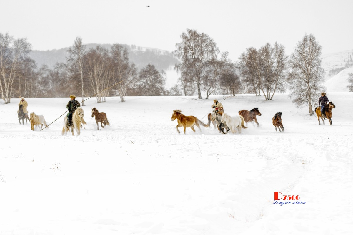 策马奔腾（67）
