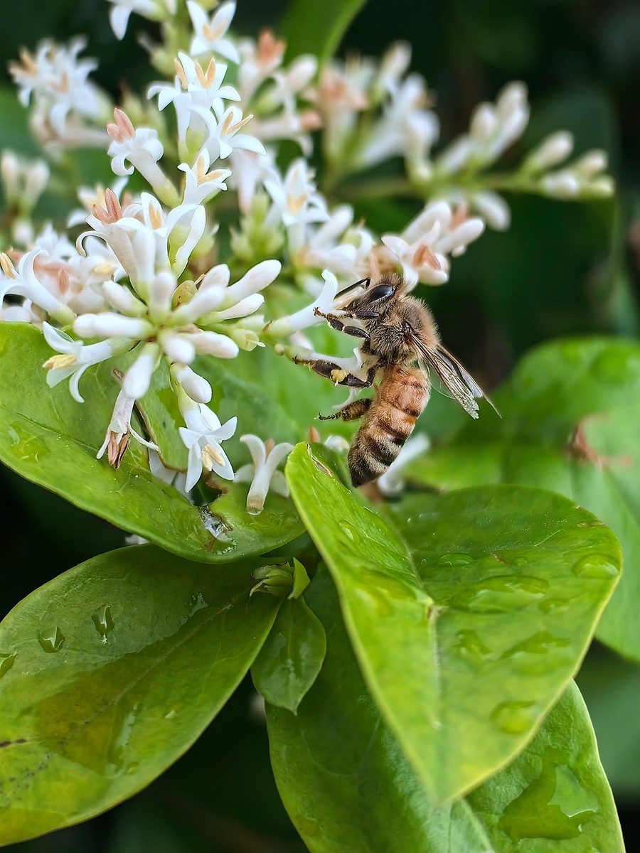 合肥随拍（二）