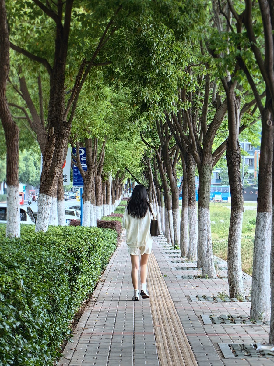 合肥随拍（二）