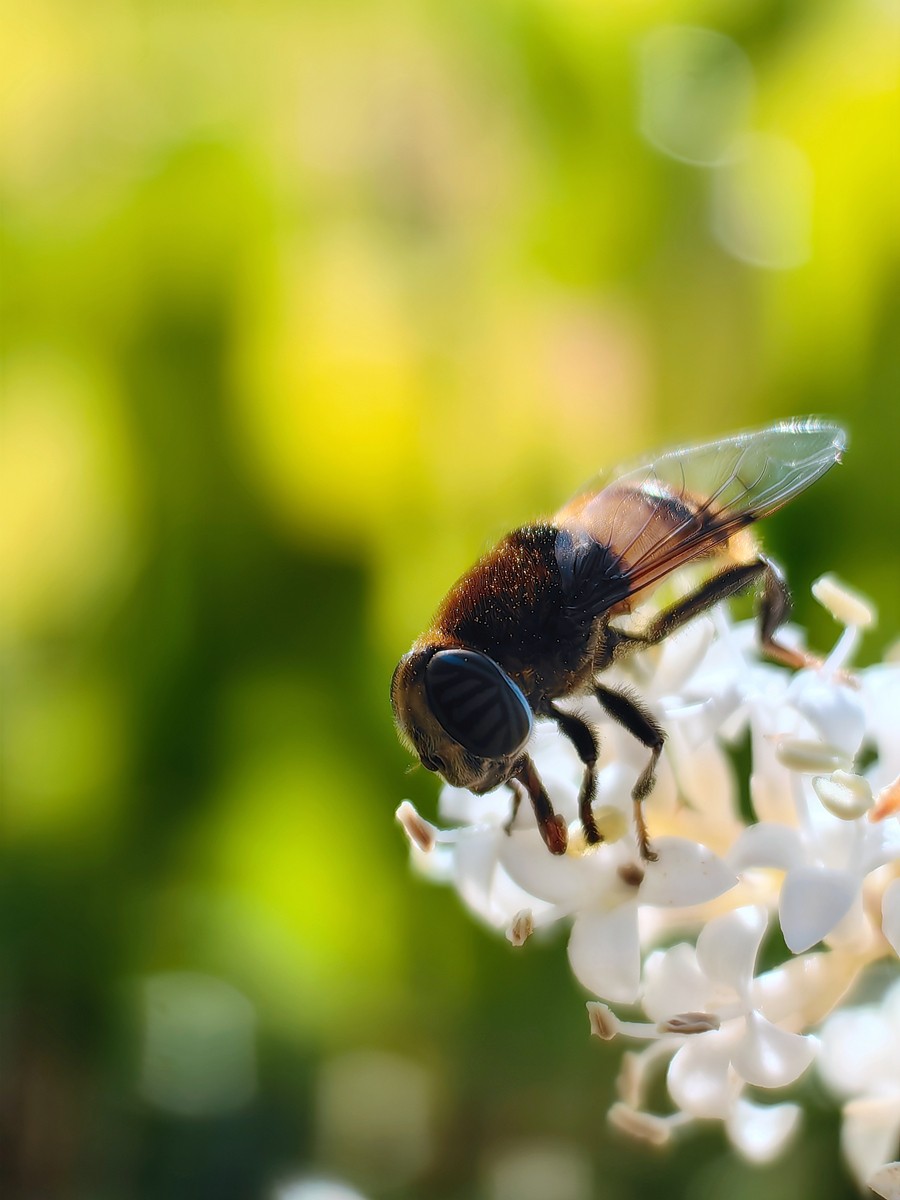 合肥随拍（二）