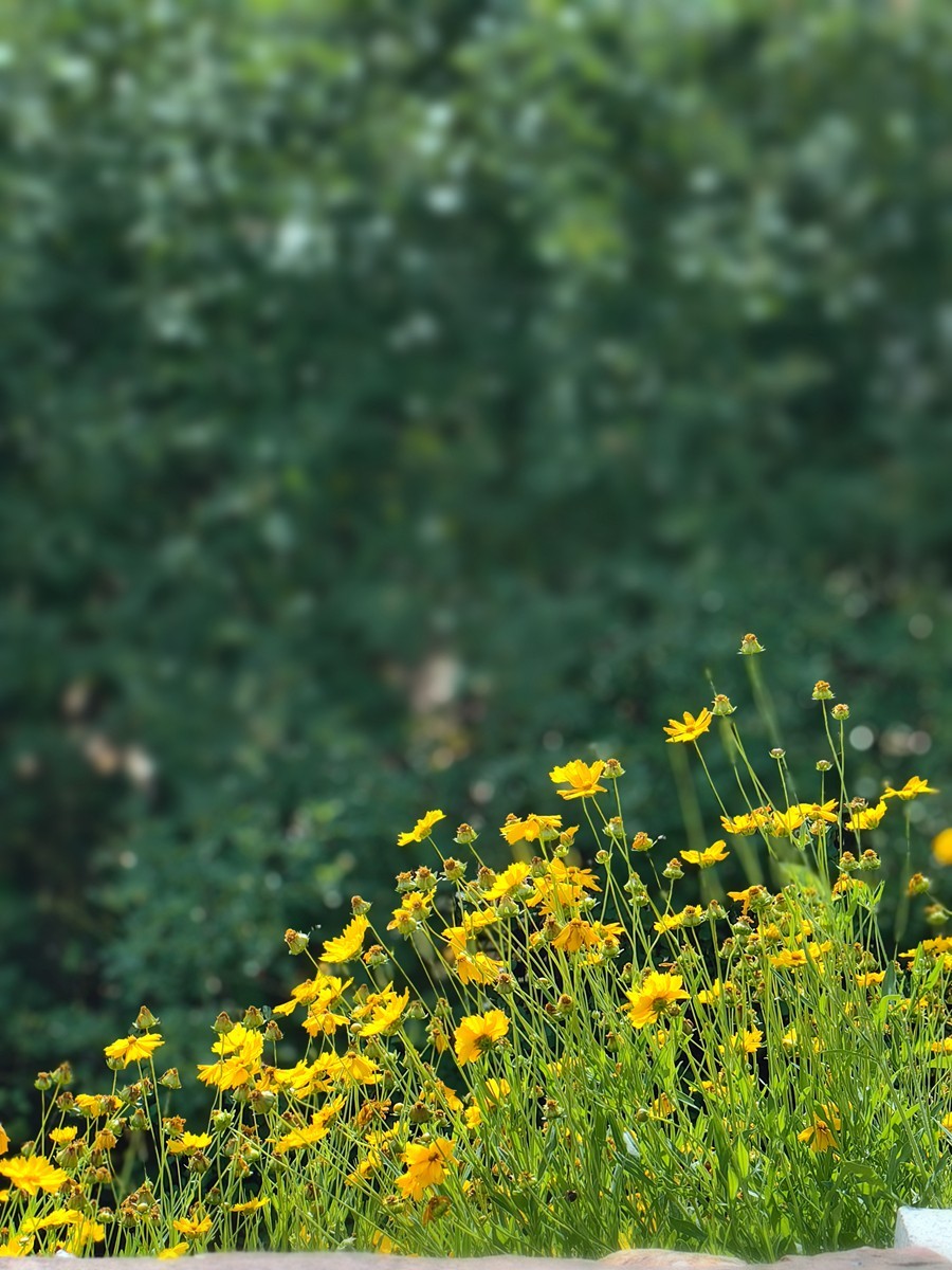 合肥随拍（二）