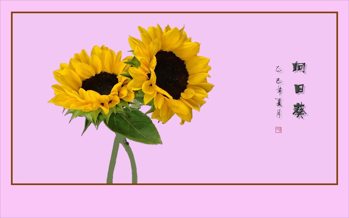 用葵花祝高考学子一举夺魁