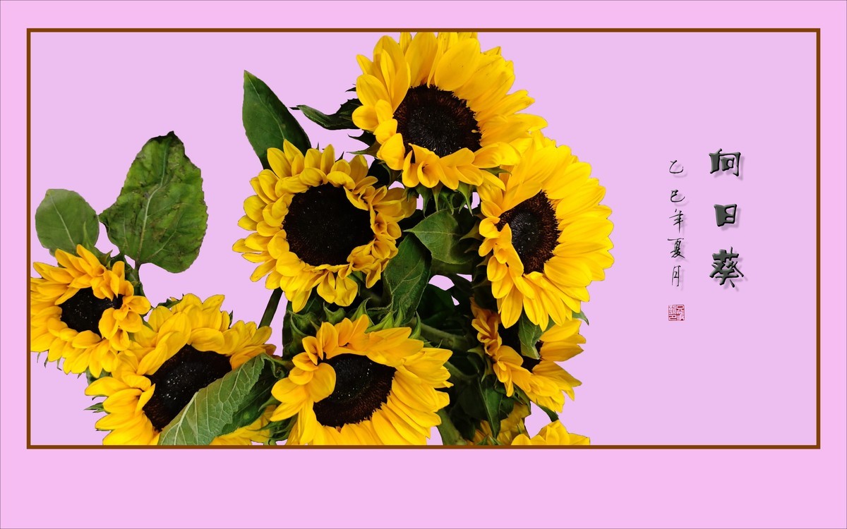 用葵花祝高考学子一举夺魁