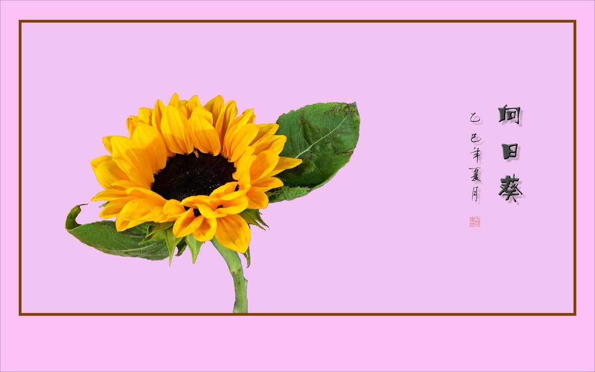 用葵花祝高考学子一举夺魁