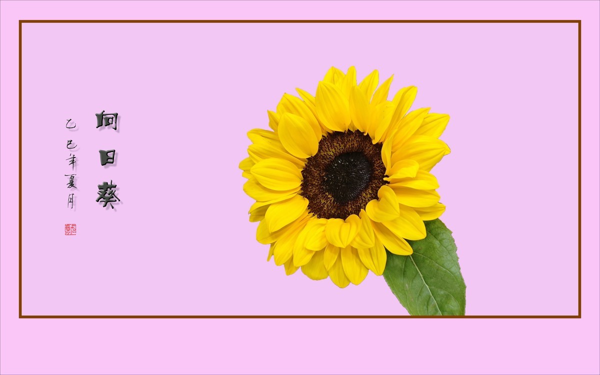 用葵花祝高考学子一举夺魁