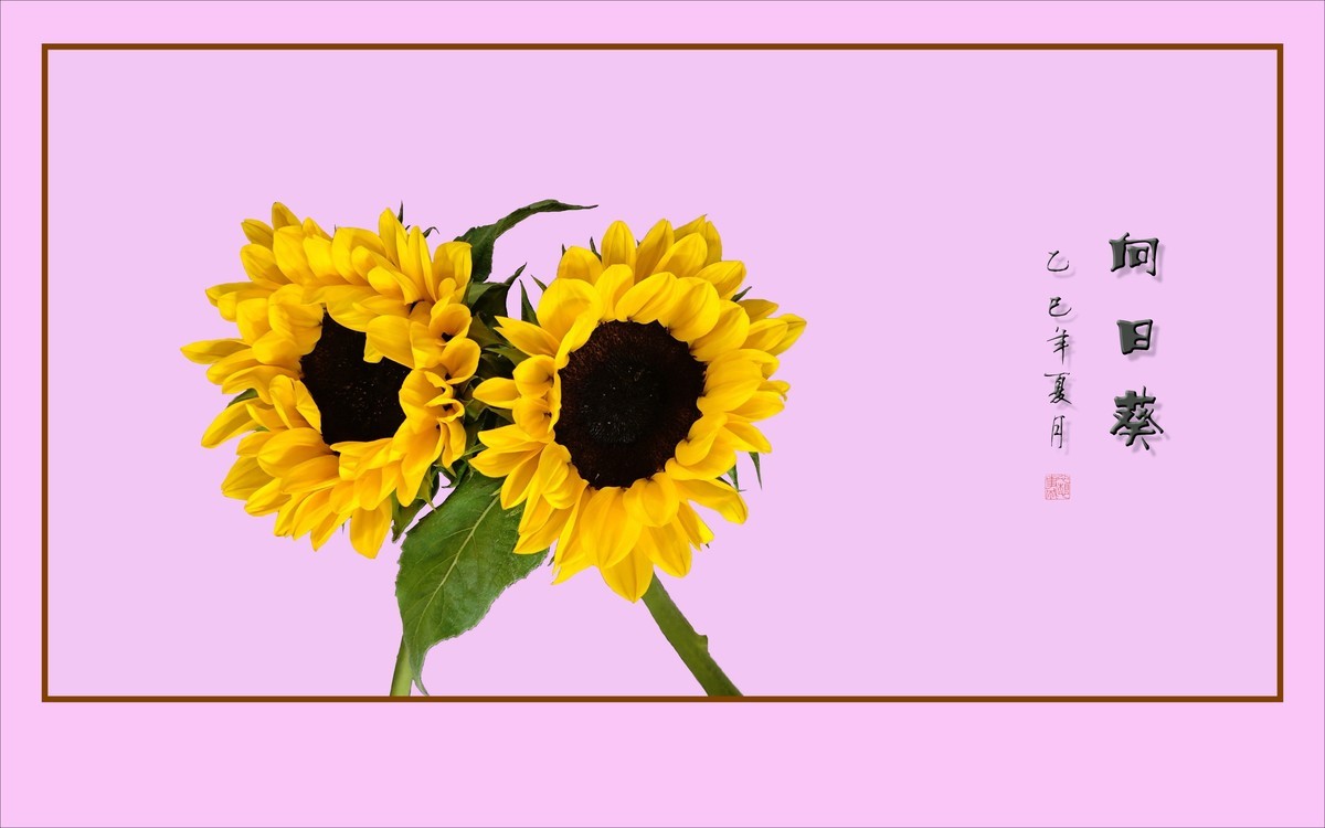 用葵花祝高考学子一举夺魁