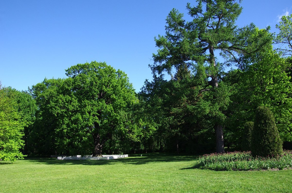 圣彼得堡阿尔金岛公园掠影