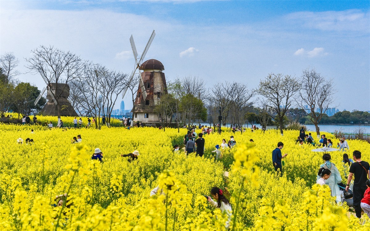 市郊游览（万国公园旧址）