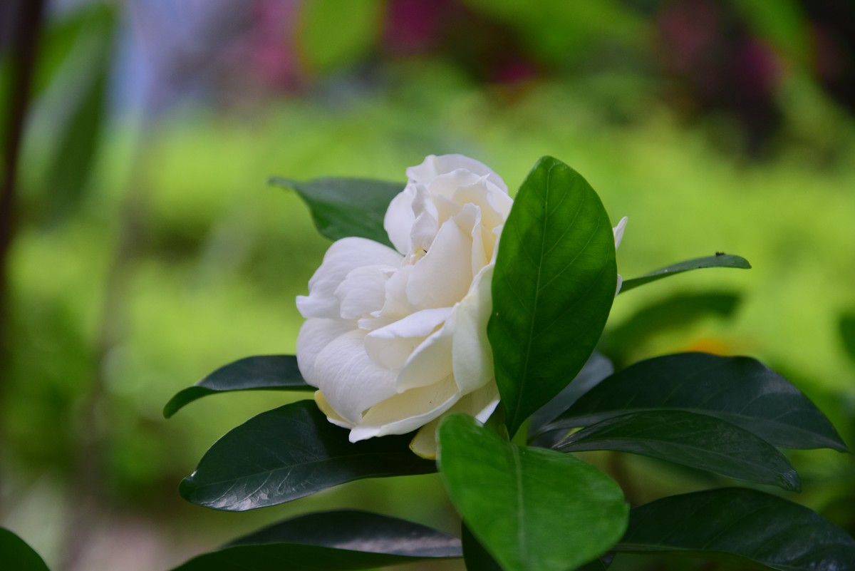 很久不玩摄影了，今天心血来潮