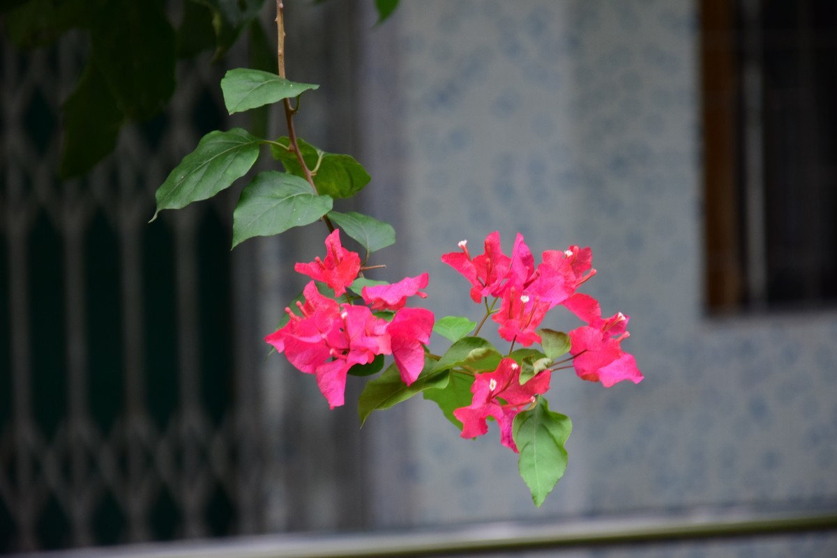 很久不玩摄影了，今天心血来潮