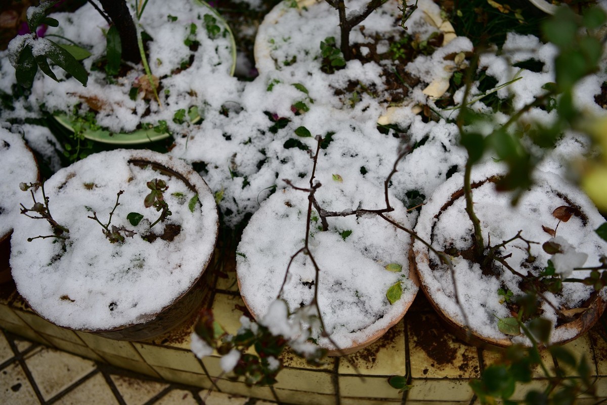 湖南严冬本市雪景掠影