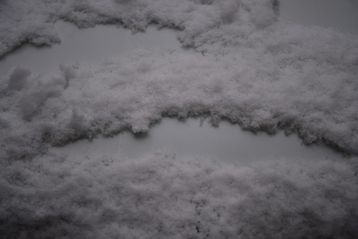 湖南严冬本市雪景掠影