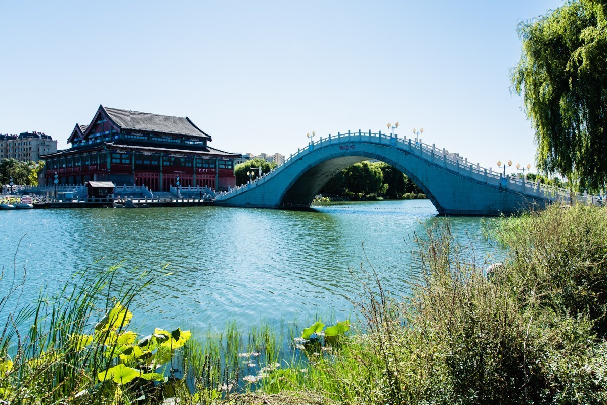 【镜头里】第1344号：唐山·运河唐人街掠影（二）