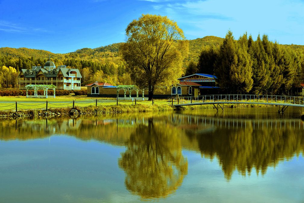 总文明用语去过的溪水林场