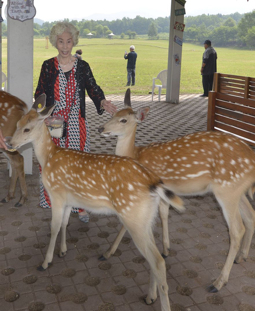 总文明用语去过的溪水林场