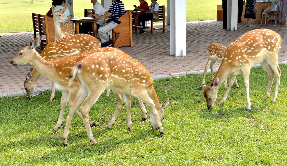 总文明用语去过的溪水林场