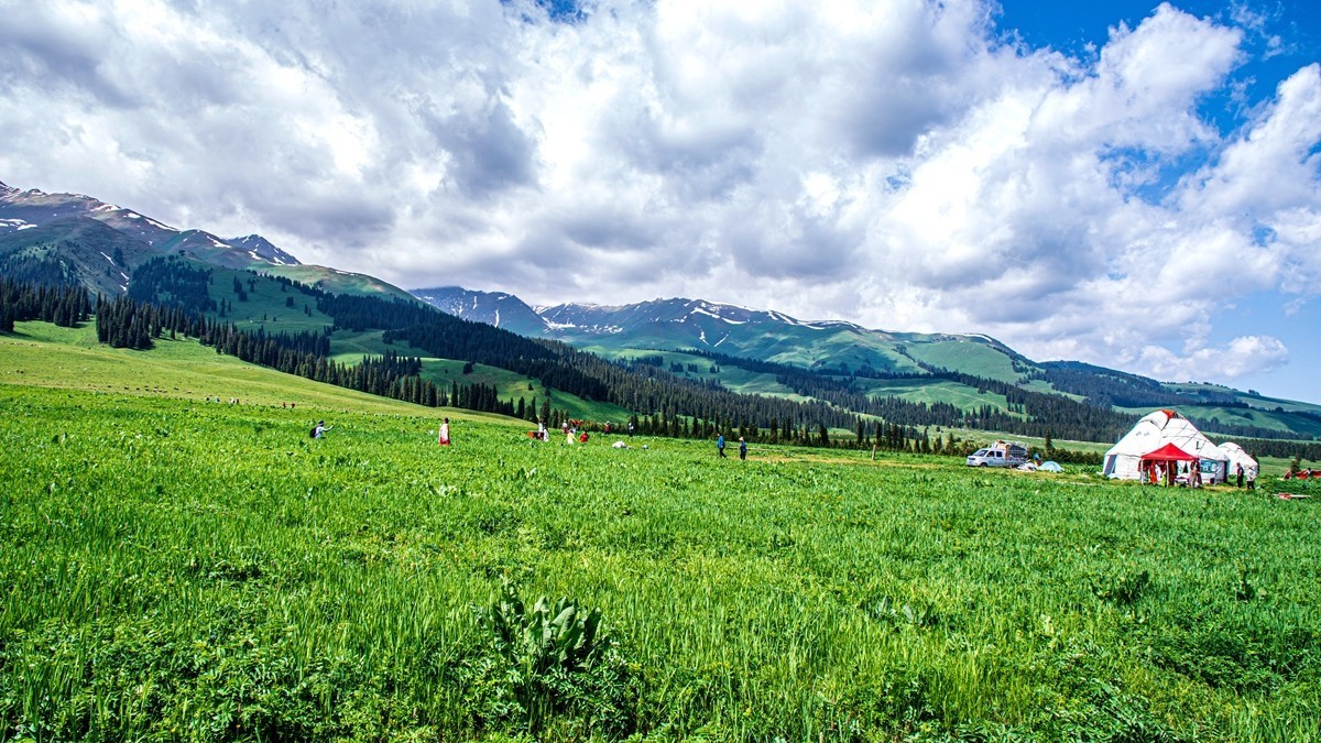 新疆行游--那拉提草原【10】
