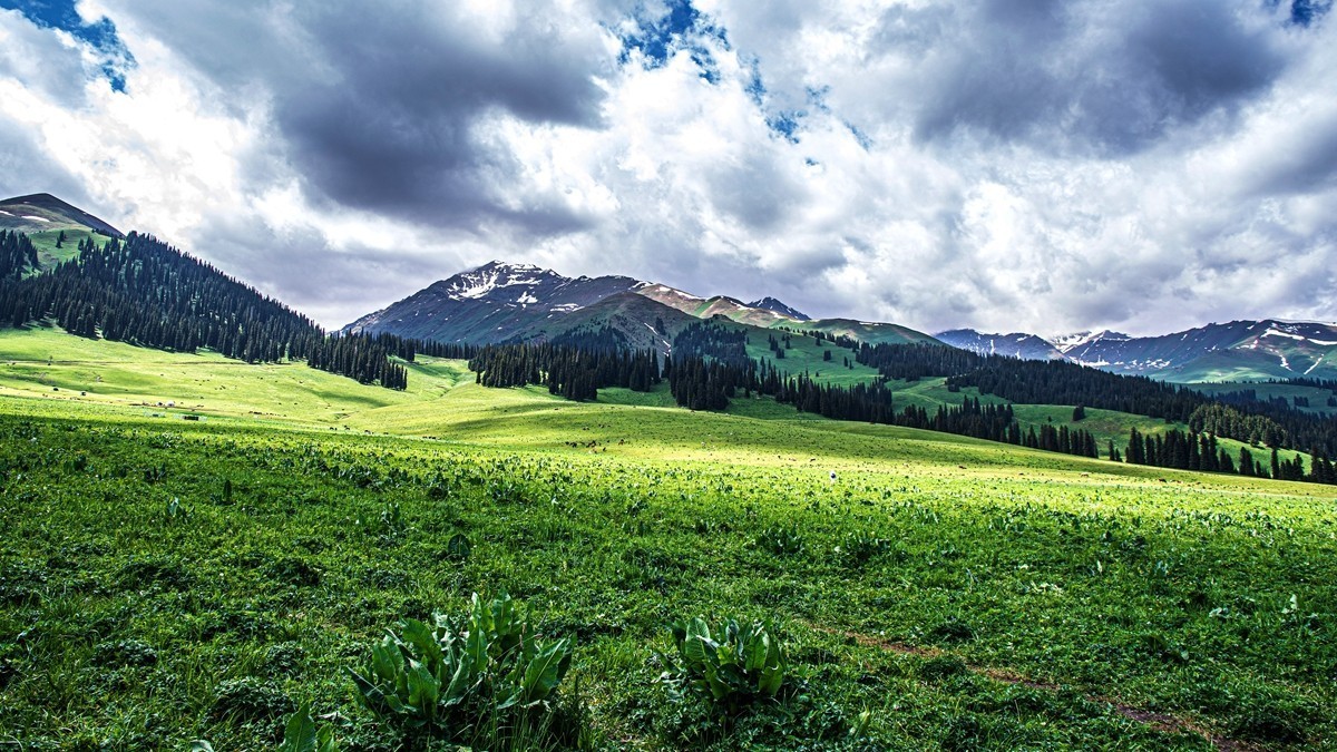新疆行游--那拉提草原【10】
