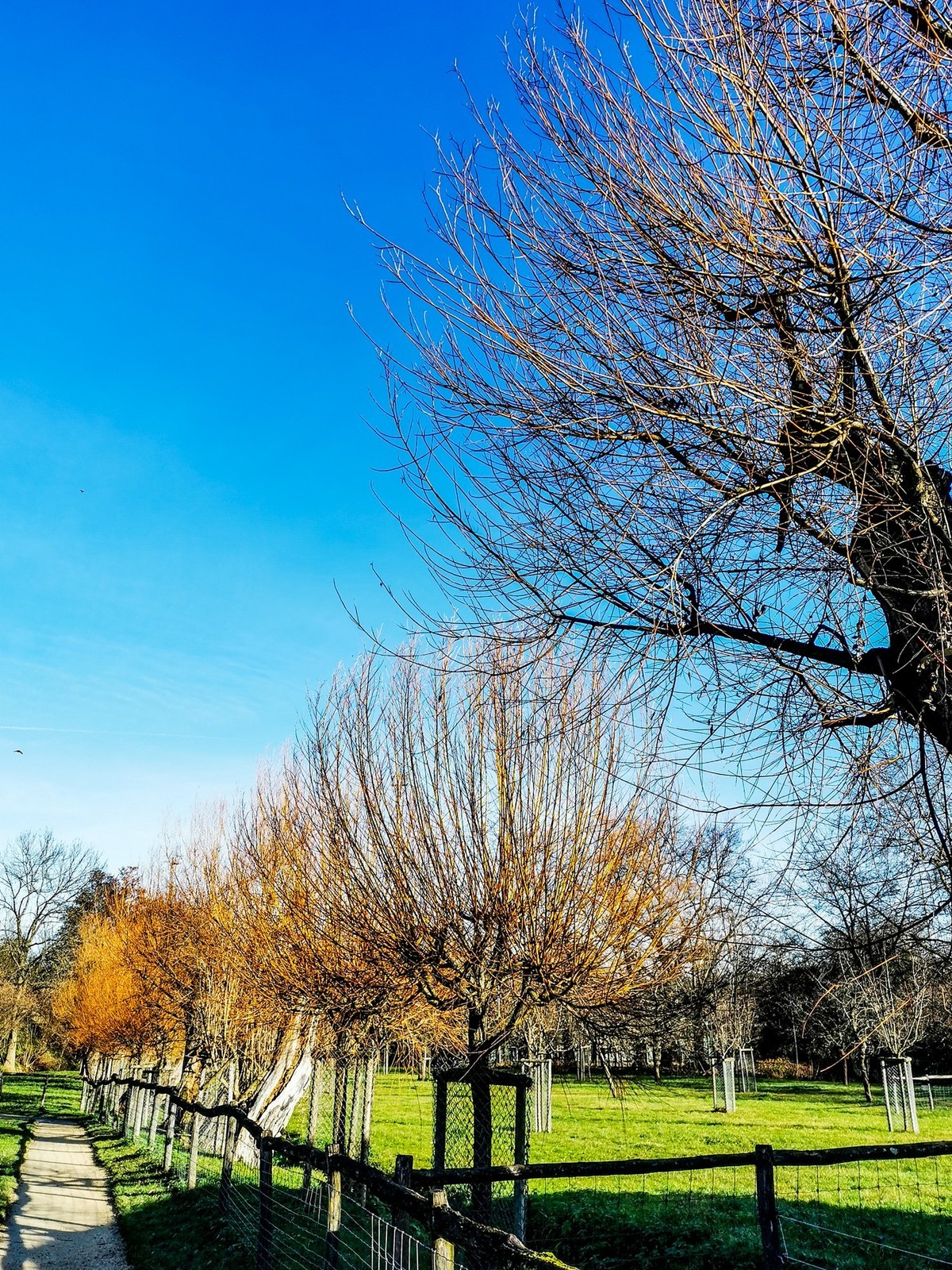 绿地80休闲公园瑞士巴塞尔