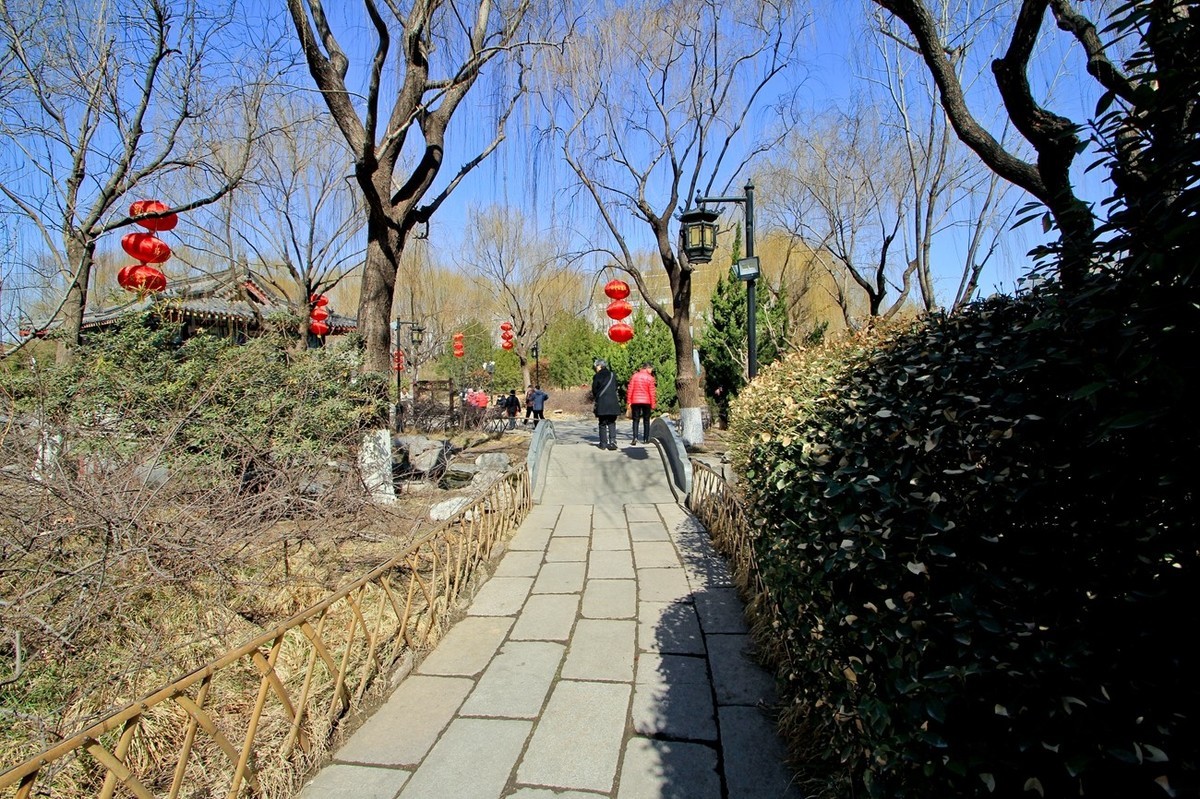 三月小阳春——五龙潭公园随拍 （三）