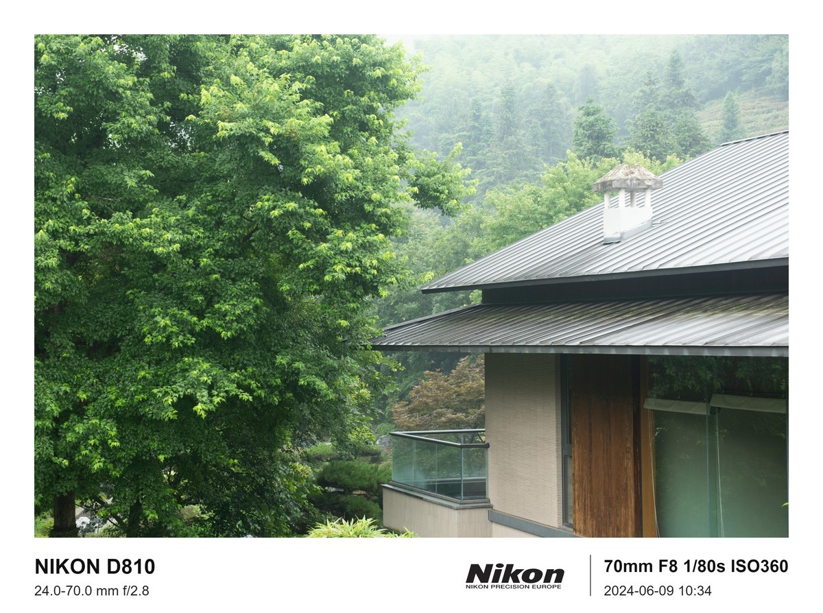 用的是尼康，就得发挥兄弟们的专业