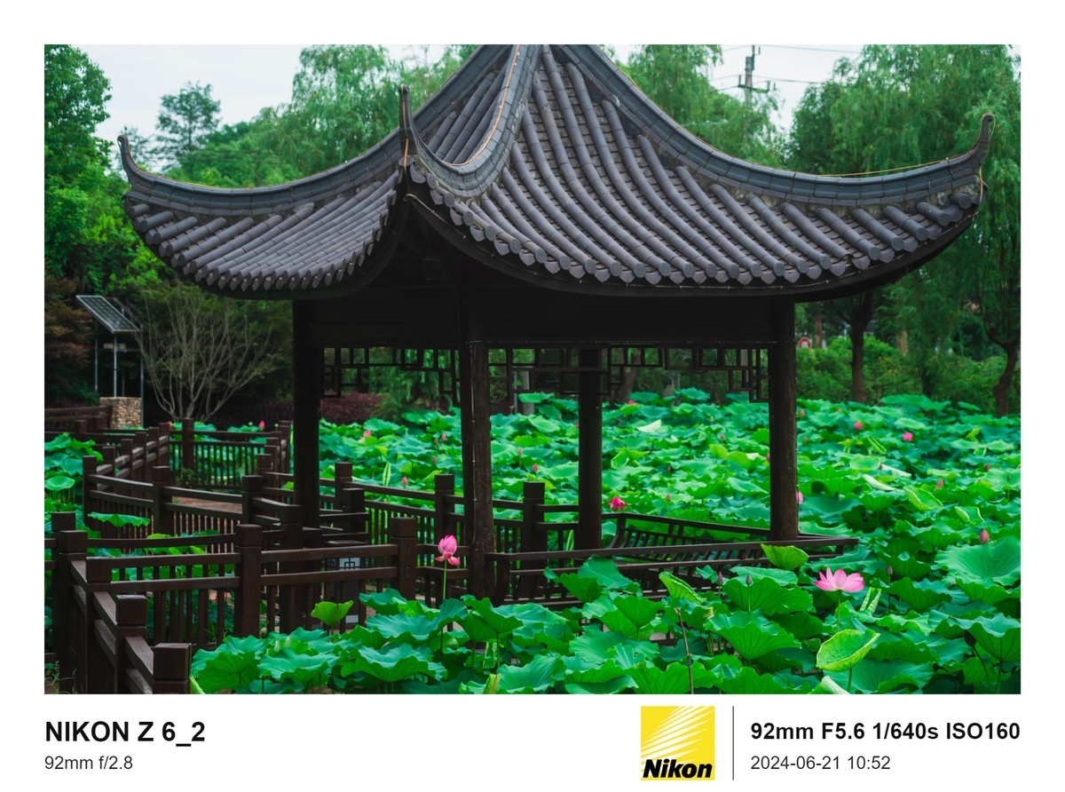 用的是尼康，就得发挥兄弟们的专业