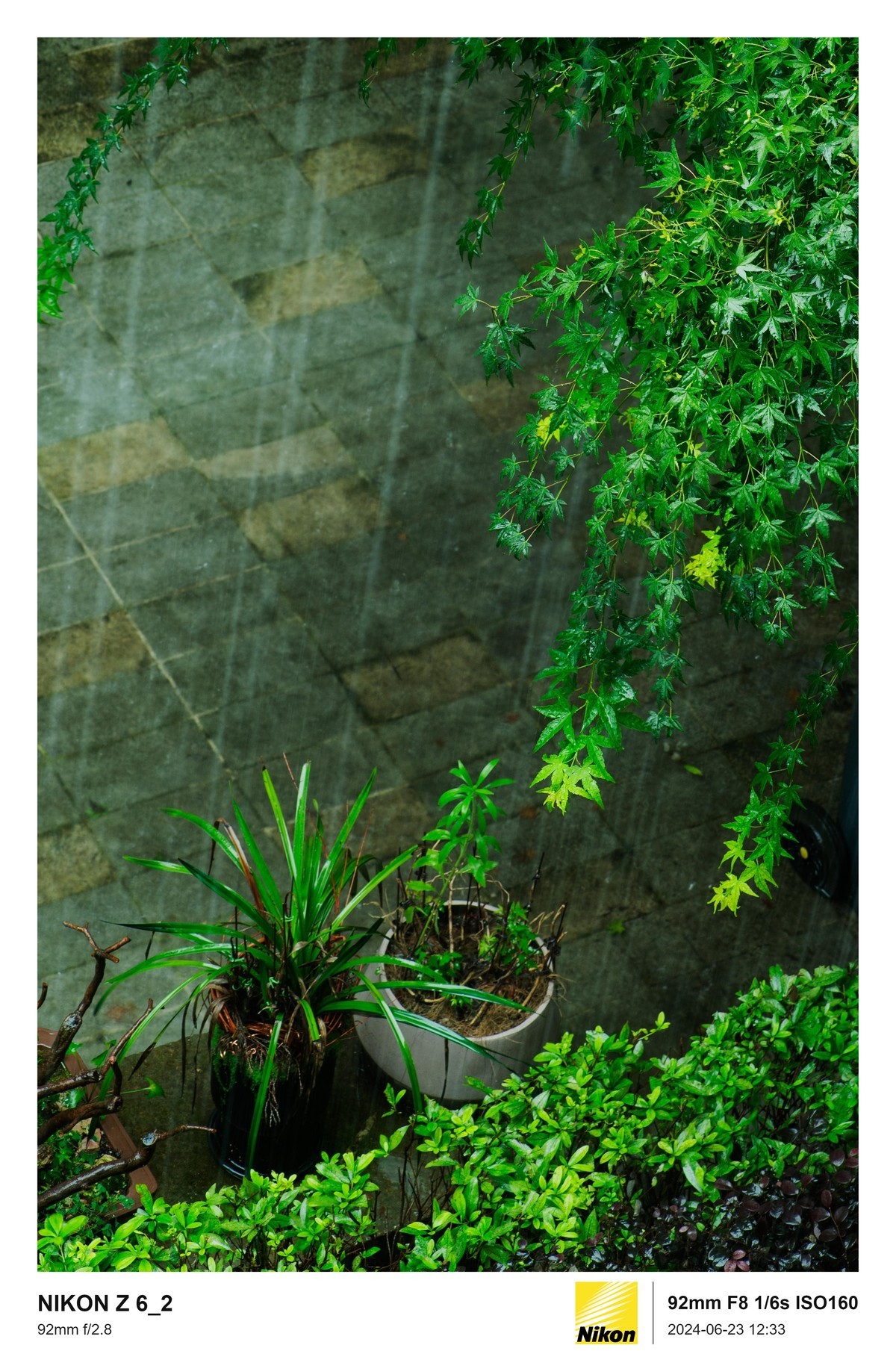 用的是尼康，就得发挥兄弟们的专业