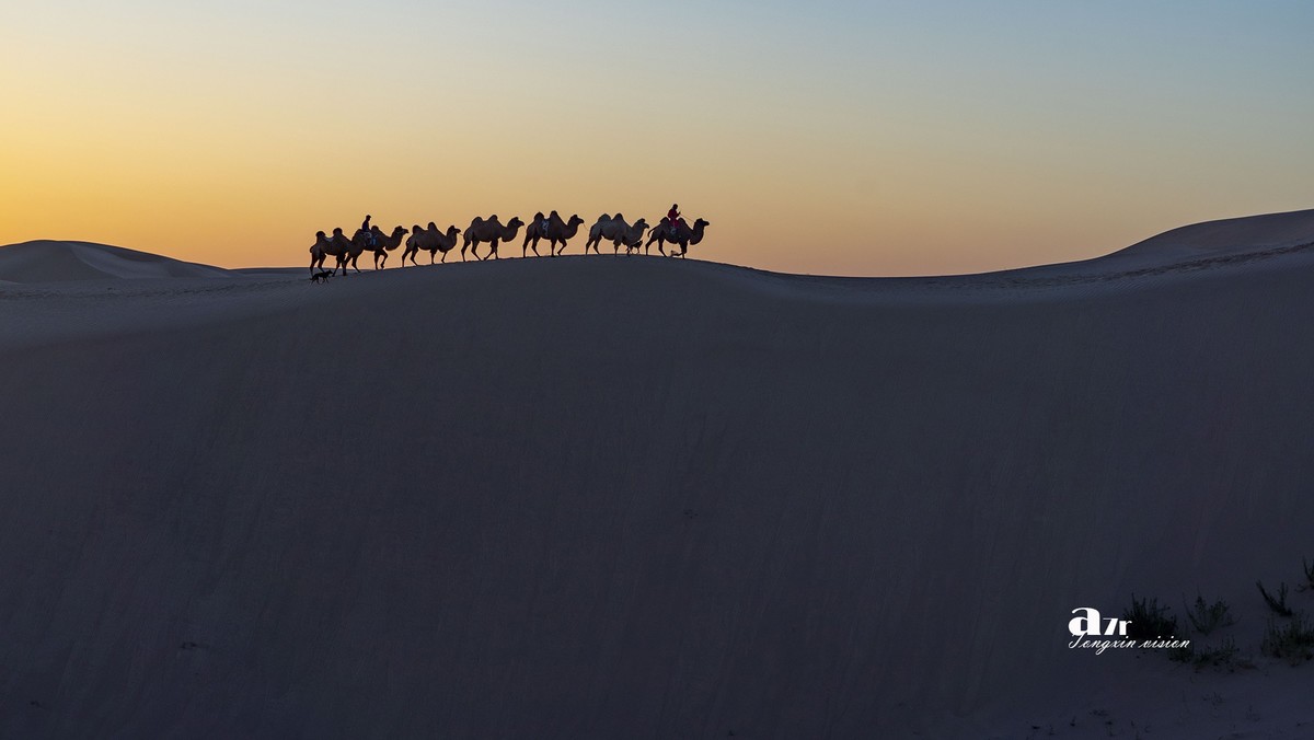 沙漠中的一支驼队（48）