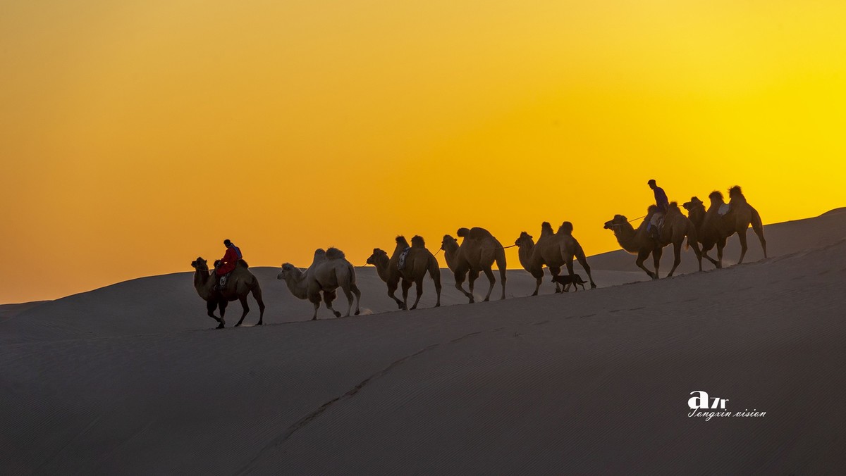沙漠中的一支驼队（48）