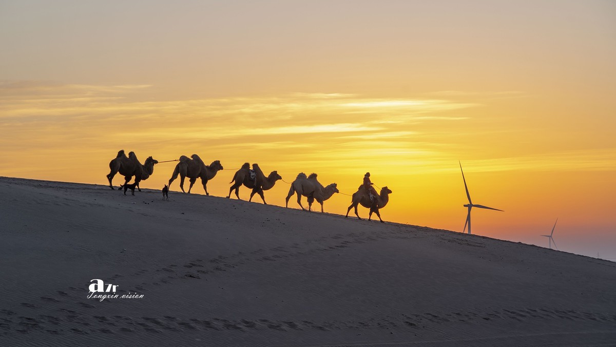 沙漠中的一支驼队（48）