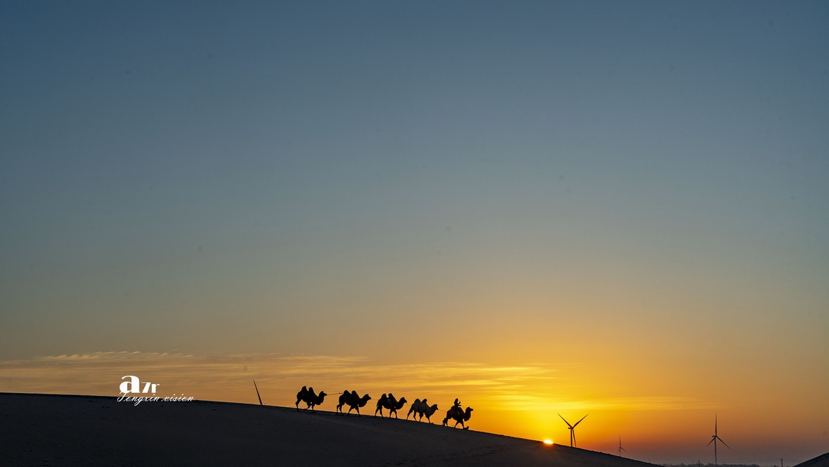沙漠中的一支驼队（48）