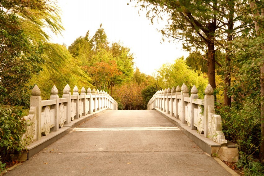 顾村公园景色秋意浓浓，