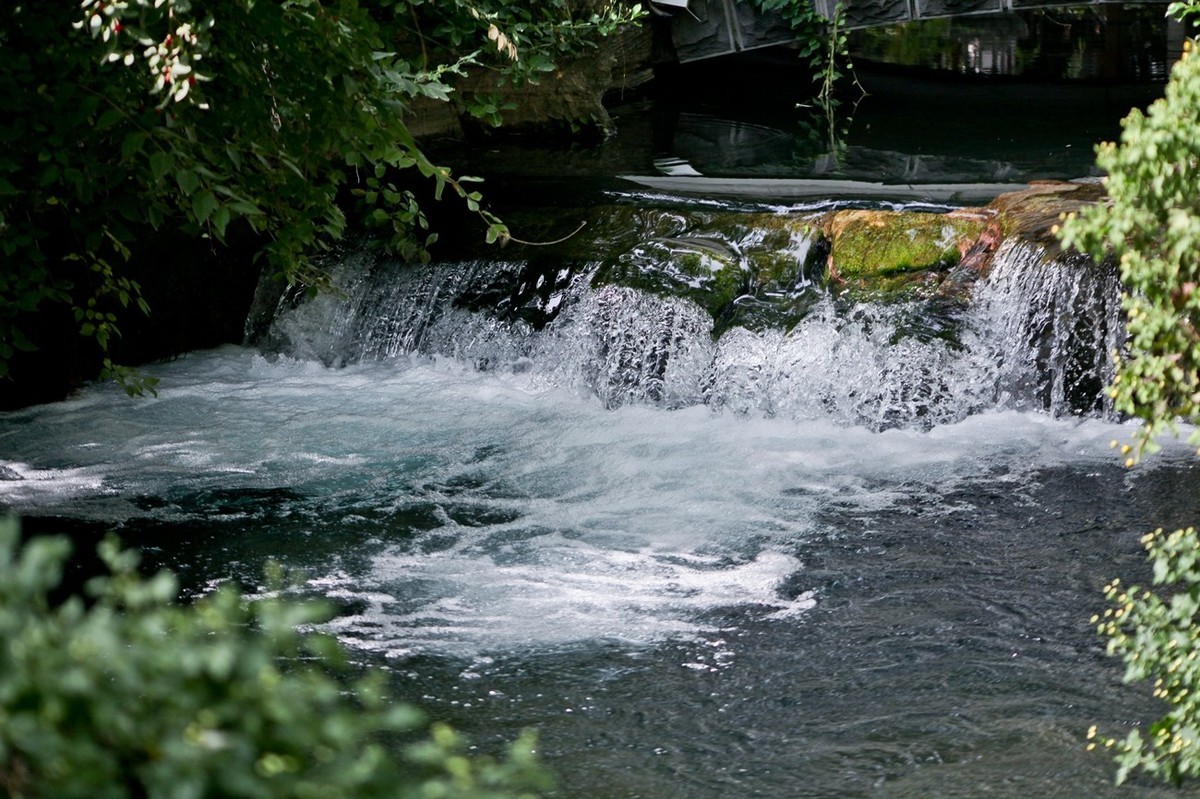 随拍——秋色趵突泉