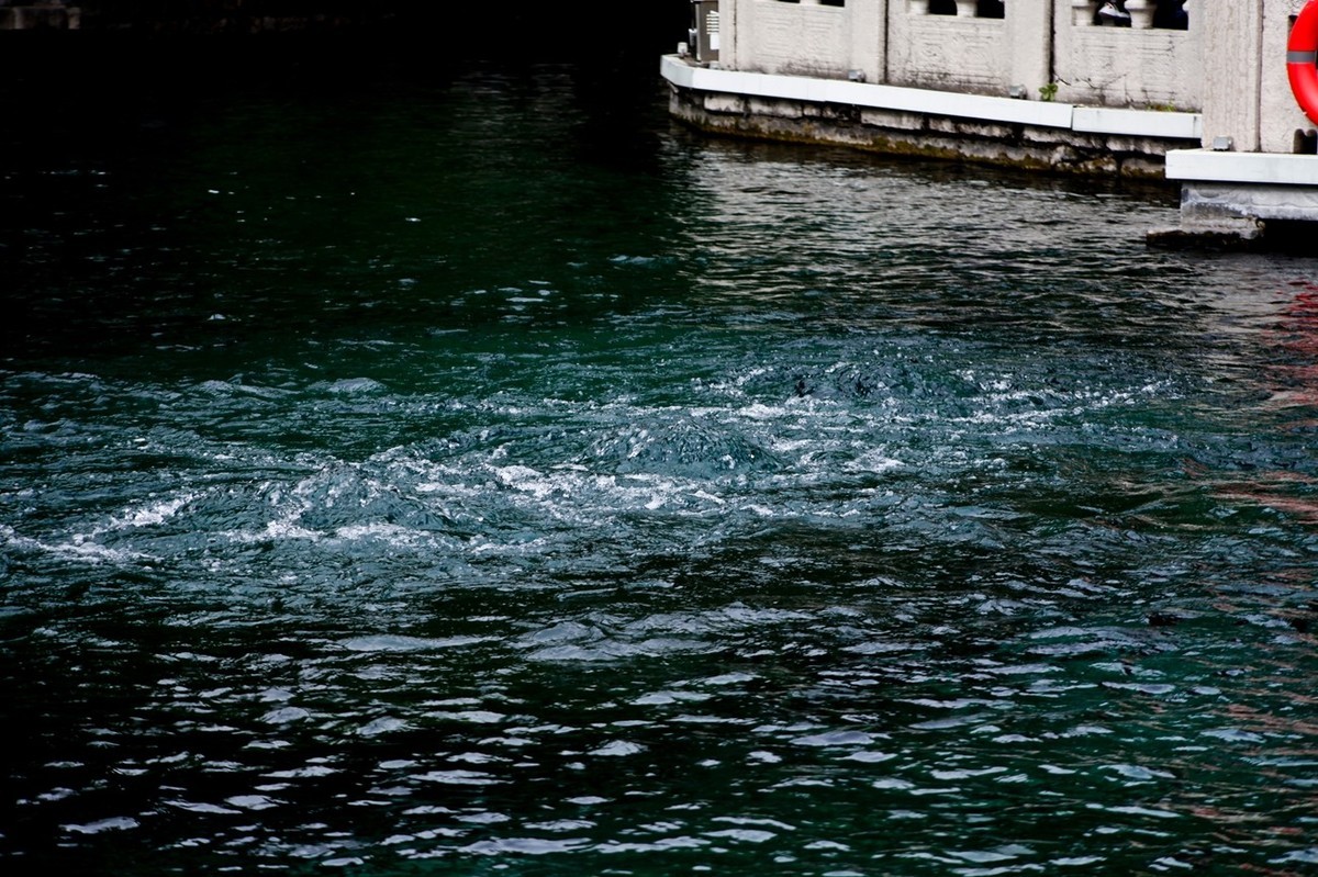 随拍——秋色趵突泉