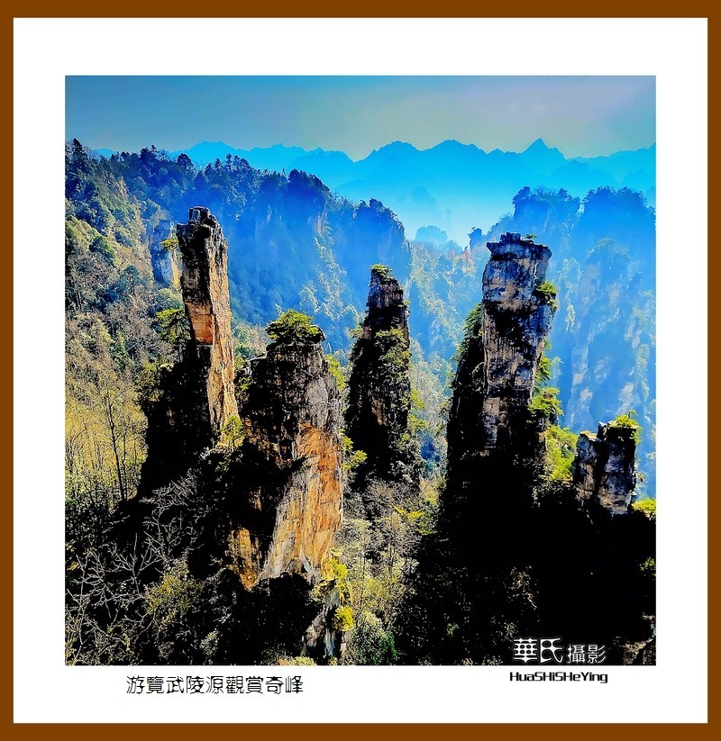 2021南行慢游（湖南182）—游览武陵源观赏奇峰之十五（张家界）