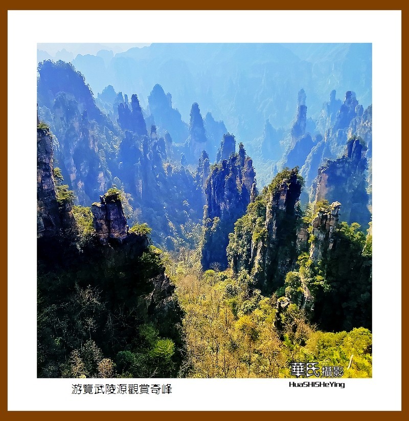 2021南行慢游（湖南182）—游览武陵源观赏奇峰之十五（张家界）