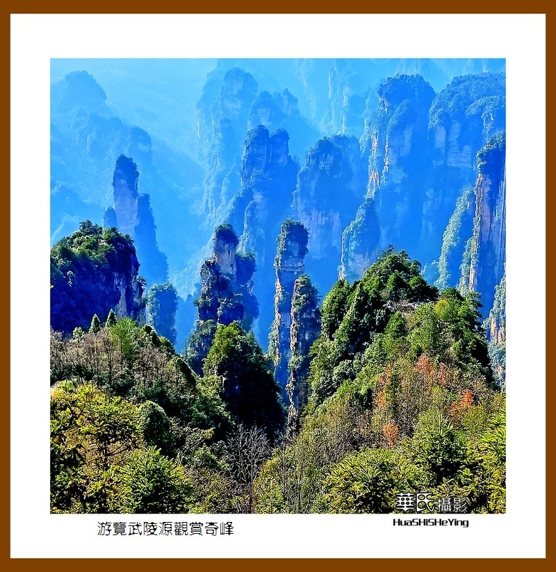 2021南行慢游（湖南182）—游览武陵源观赏奇峰之十五（张家界）