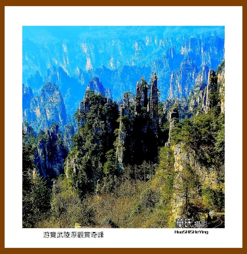 2021南行慢游（湖南182）—游览武陵源观赏奇峰之十五（张家界）