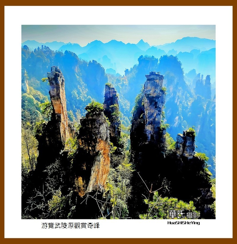 2021南行慢游（湖南182）—游览武陵源观赏奇峰之十五（张家界）