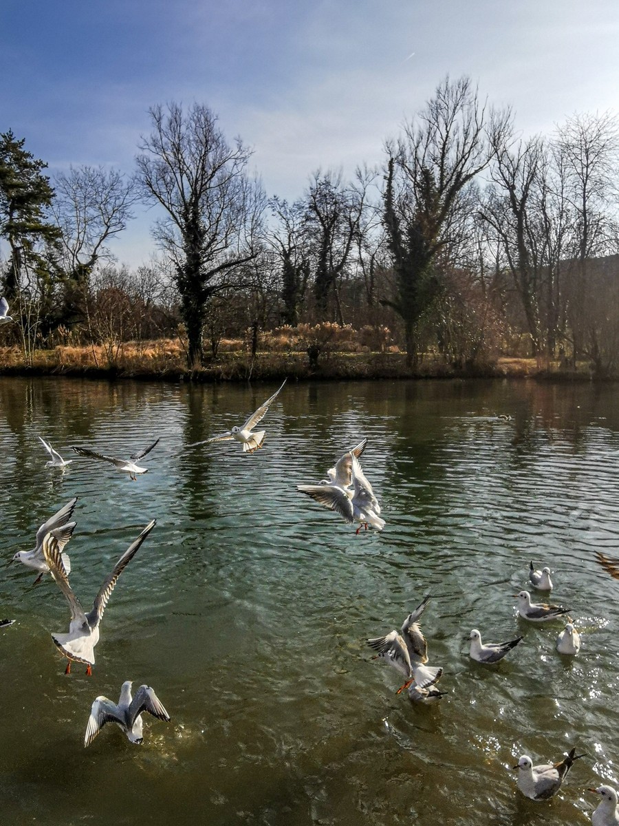 #版主坐堂#索尼大版星空(中国)2025年 2 月份优秀作品精选汇总