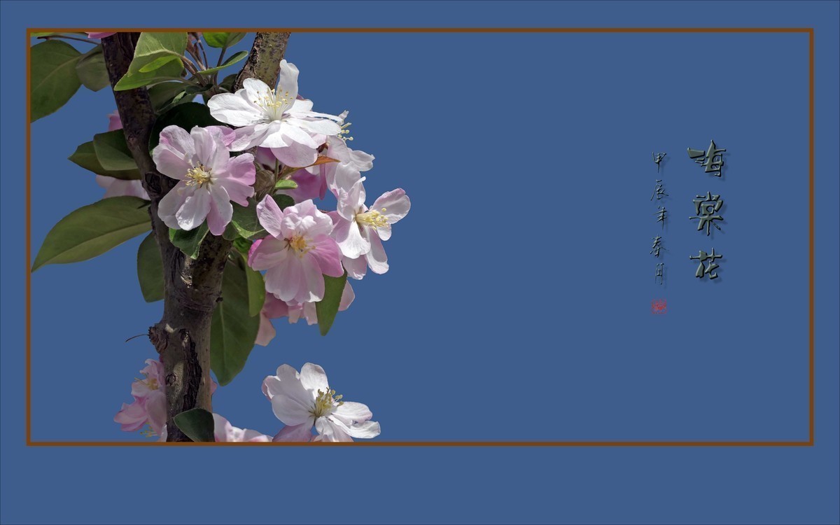 #版主坐堂#索尼大版星空(中国)2025年 2 月份优秀作品精选汇总