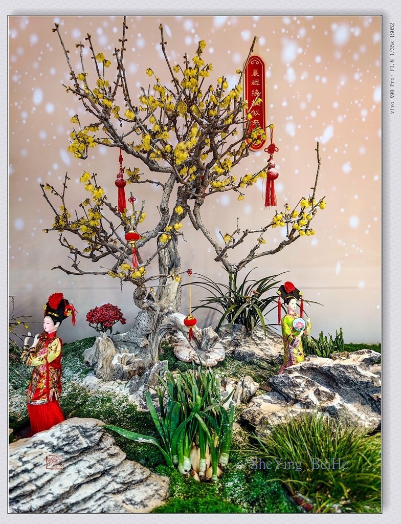 #版主坐堂#索尼大版星空(中国)2025年 2 月份优秀作品精选汇总