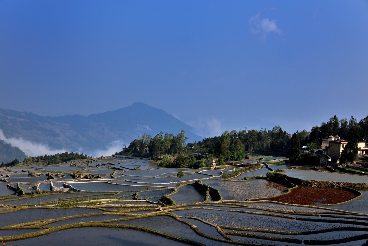 #版主坐堂#索尼大版星空(中国)2025年 2 月份优秀作品精选汇总