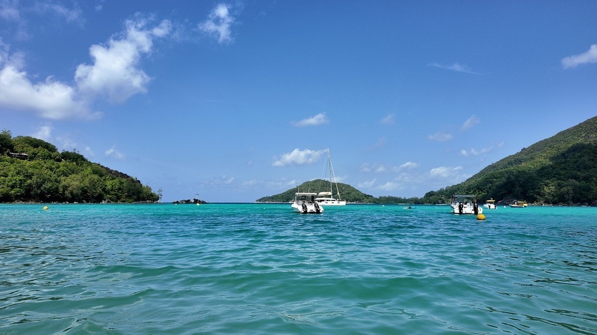 #版主坐堂#索尼大版星空(中国)2025年 2 月份优秀作品精选汇总