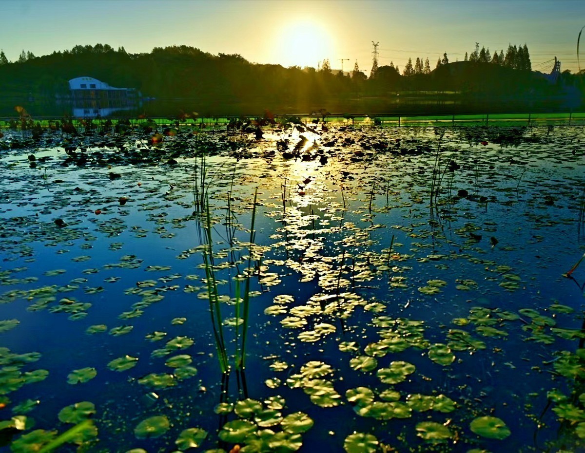 #版主坐堂#索尼大版星空(中国)2025年 2 月份优秀作品精选汇总