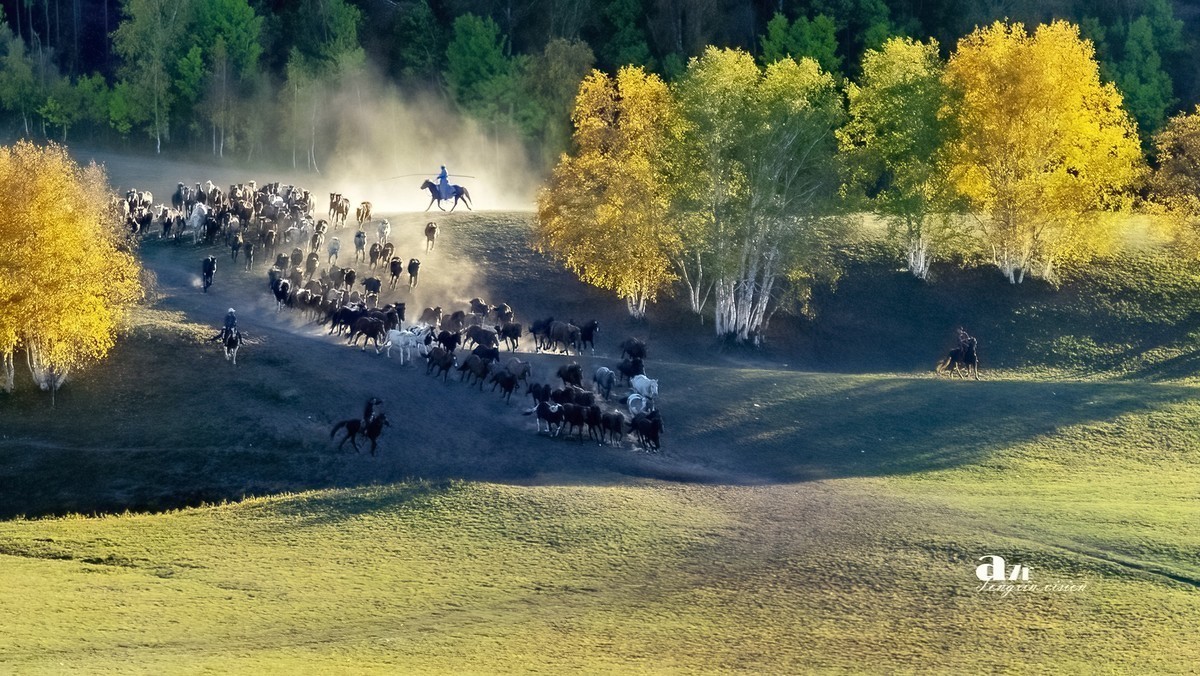 #版主坐堂#索尼大版星空(中国)2025年 2 月份优秀作品精选汇总