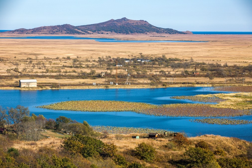 外出随拍（续305）.