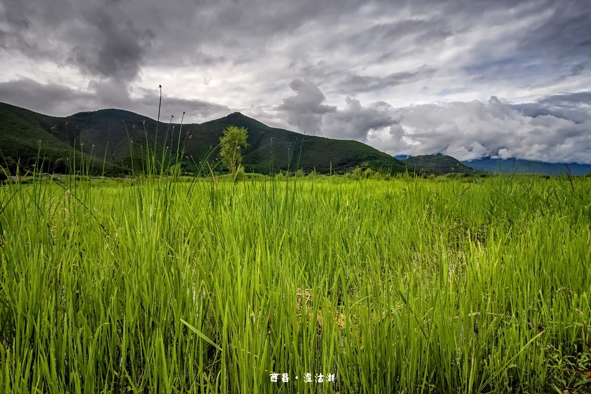 西昌·泸沽湖