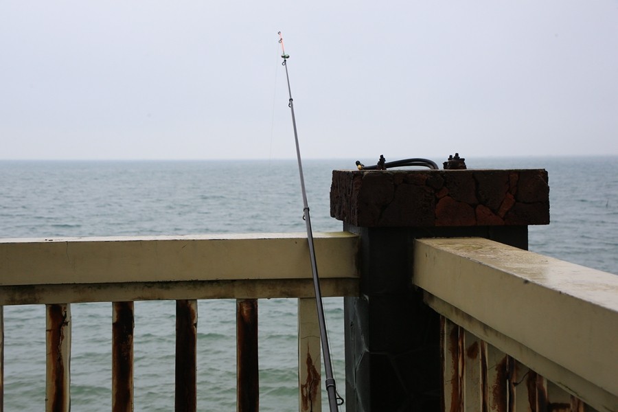 08《不老松：忆海南游记》海南临髙解放公园海中棧桥！